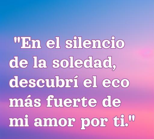 Frase reflexiva sobre el amor y la soledad: 