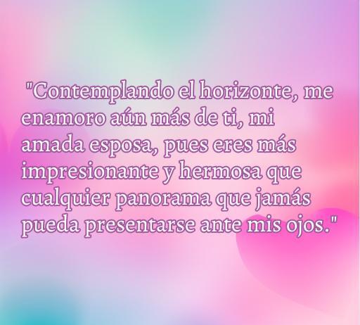 Frase romántica sobre el amor hacia la esposa mientras se admira el horizonte, ideal para expresar sentimientos profundos. Incluye palabras clave como 'frases de amor', 'amor a mi esposa', y 'mirando el horizonte'.