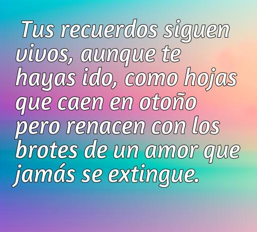 Lindas frase de amor abandonado, frases de amor abandonado
