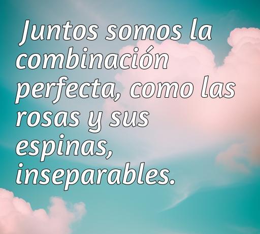 Frase romántica sobre el amor y la conexión perfecta entre dos personas, acompañada de un fondo suave que evoca amor y naturaleza con rosas. Ideal para acompañar el artículo sobre las mejores frases de amor y fotos de rosas.