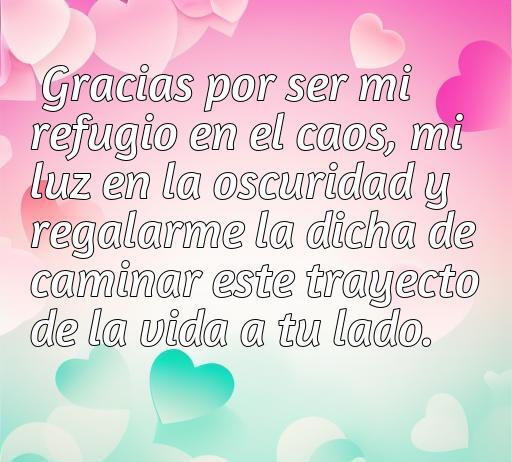 Frase de amor que expresa gratitud por la compañía y el apoyo incondicional en la vida, ideal para reflexionar sobre el amor y la conexión emocional.