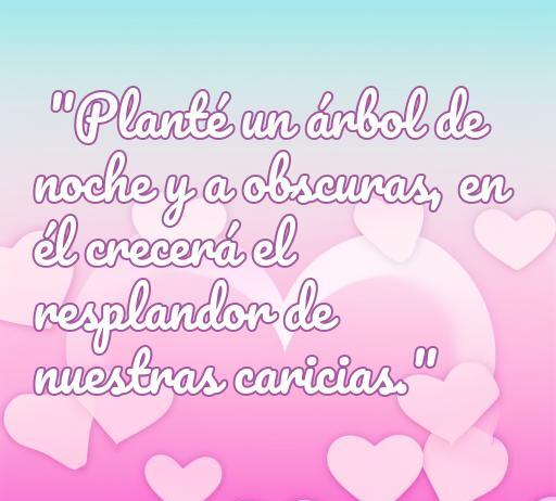 Mejores Frases de amor de Alejandra Pizarnik