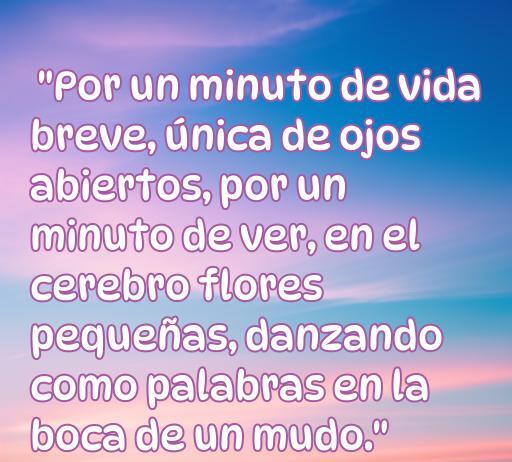 Frase de amor de Alejandra Pizarnik sobre la vida y la percepción, ideal para el artículo sobre las mejores citas románticas de la autora.