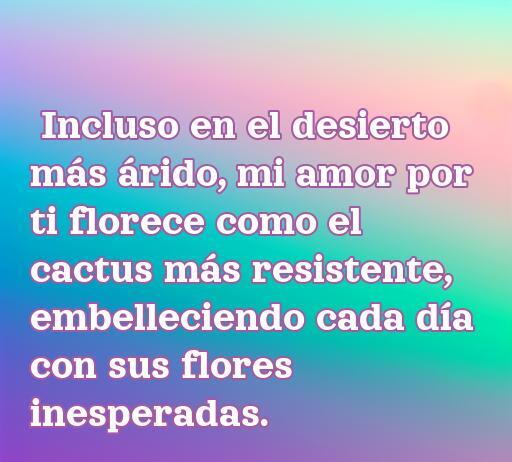 Mejores Frases de amor para cactus