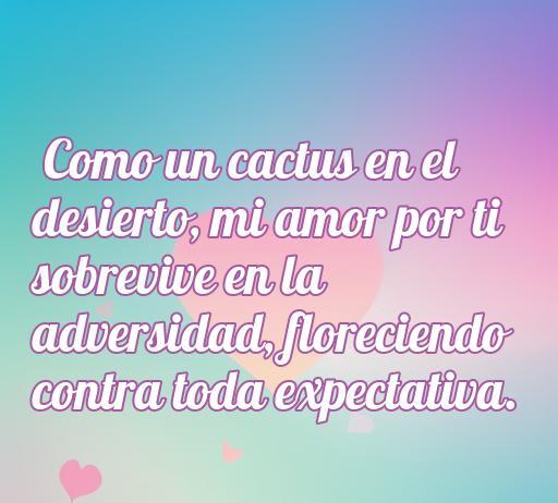 Frase romántica sobre el amor utilizando la metáfora del cactus, resaltando la resiliencia del amor en tiempos difíciles.