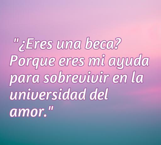 Frase de amor humorística que dice: '¿Eres una beca? Porque eres mi ayuda para sobrevivir en la universidad del amor.' Ideal para acompañar un artículo sobre frases de amor y chistes.