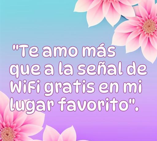 Frase de amor chistosa que dice 'Te amo más que a la señal de Wifi gratis en mi lugar favorito', acompañada de flores rosa sobre fondo degradado. Ideal para compartir en redes sociales.