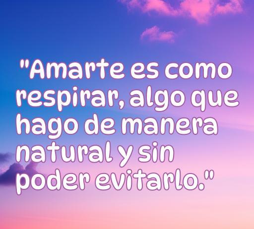 Frases de amor para compañeros