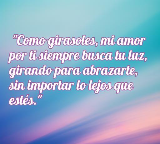 Frase de amor con girasoles que expresa un profundo sentimiento, destacando el amor incondicional y la búsqueda de la luz en la relación. Ideal para inspirar y compartir en redes sociales.