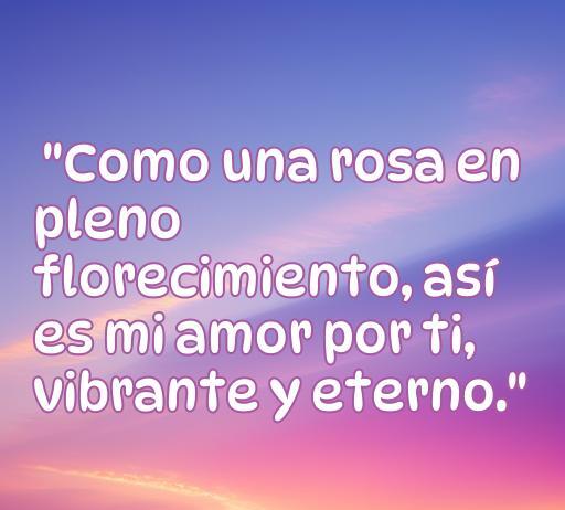Mejores Frases de amor con rosa