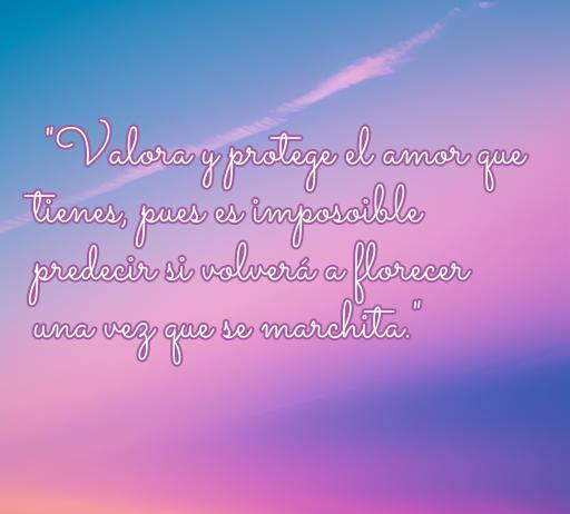 Frase inspiradora sobre el amor que dice: 'Valora y protege el amor que tienes, pues es imposible predecir si volverá a florecer una vez que se marchita.' Ideal para reflexionar sobre el amor y la importancia de cuidar lo que tenemos.