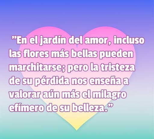 Frases de amor, desamor y reflexión