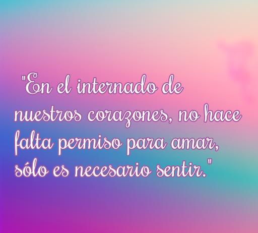Frase romántica de amor inspirada en el internado: 