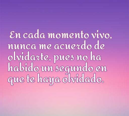 Frase hermosa de amor que dice 'En cada momento vivo, nunca me acuerdo de olvidarte, pues no ha habido un segundo en que te haya olvidado', ideal para inspirar sentimientos románticos. Frases de amor que destacan la profundidad del recuerdo y el amor duradero.
