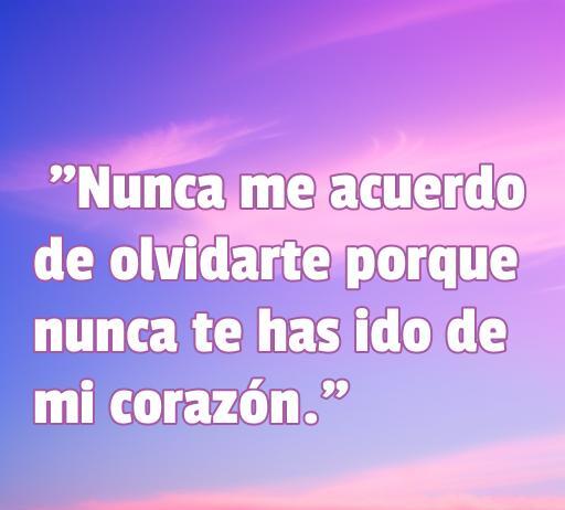 Frase inspiradora de amor que dice 'Nunca me acuerdo de olvidarte porque nunca te has ido de mi corazón', ideal para aquellos que buscan expresar sus sentimientos románticos y profundos.
