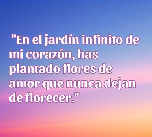 Frase romántica sobre el amor: 'En el jardín infinito de mi corazón, has plantado flores de amor que nunca dejan de florecer.' Ideal para enviar mensajes de amor.