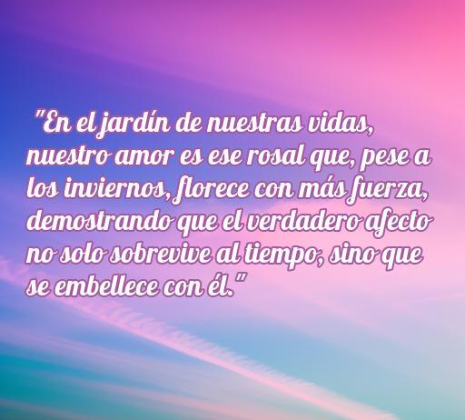 Mejores Frases de amor para personas maduras