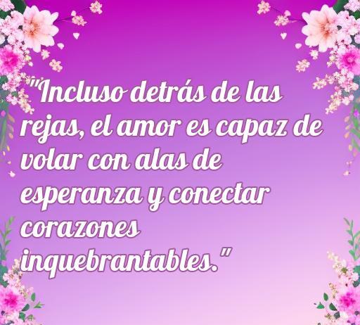 Frase inspiradora de amor para presos, destacando la capacidad del amor para superar barreras y mantener conexiones profundas a pesar de la distancia.