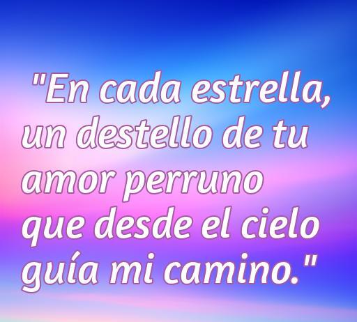 Frase conmovedora sobre el amor incondicional de perros que han partido al cielo: 