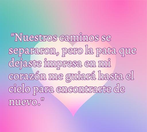 Frase conmovedora sobre el amor eterno hacia perros fallecidos, destacando el vínculo especial entre humanos y mascotas, ideal para el artículo sobre las mejores frases de amor perrunos que se fueron al cielo.