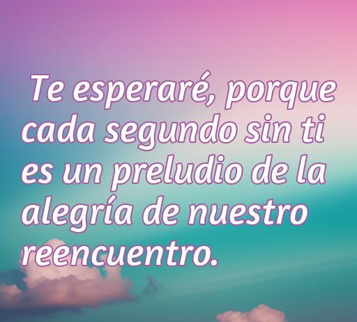 Frase de amor que expresa la espera y la alegría del reencuentro, ideal para recordar lo profundo de los sentimientos. Incluye palabras clave como 'frases de amor' y 'te esperaré', optimizando el SEO.