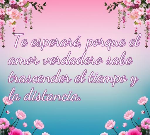 Frase inspiradora sobre el amor que dice 'Te esperaré, porque el amor verdadero sabe trascender el tiempo y la distancia.' Perfecta para artículos sobre frases de amor, romanticismo y relaciones.
