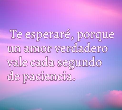 Frase inspiradora sobre el amor que dice 'Te esperaré, porque un amor verdadero vale cada segundo de paciencia.' Ideal para reflexionar sobre el amor verdadero y la paciencia en las relaciones.