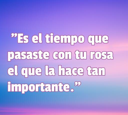 Frase de amor y amistad del Principito: 'Es el tiempo que pasaste con tu rosa el que la hace tan importante.' Reflexión sobre la importancia del tiempo en las relaciones, destacando el amor y la amistad.