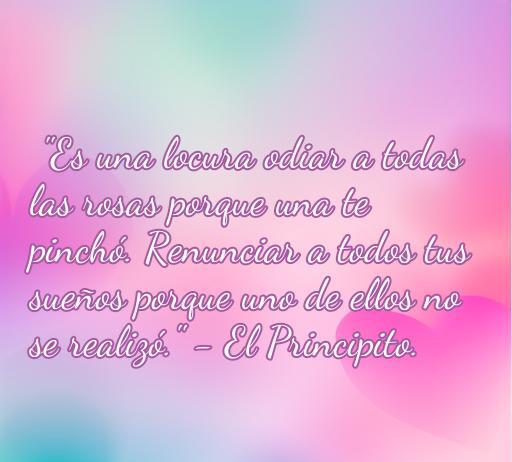 Frase inspiradora del Principito sobre amor y amistad: 