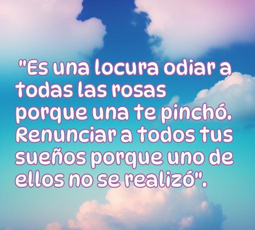frases de amor y duelo del principito Frase inspiradora del Principito sobre el amor y el duelo: 'Es una locura odiar a todas las rosas porque una te pinchó. Renunciar a todos tus sueños porque uno de ellos no se realizó'. Reflexiona sobre la importancia de no dejarse llevar por el dolor perdido y valorar el amor, en el contexto de las Frases del Principito.
