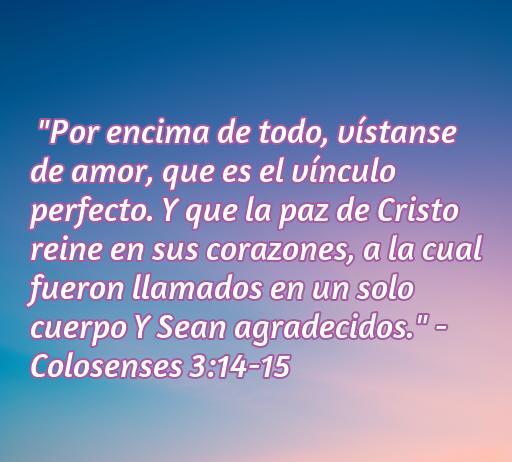 Atractiva frase de amor y perdón de la Biblia que invita a cultivar el amor y la paz en nuestras relaciones, basada en Colosenses 3:14-15, ideal para reflexionar sobre el perdón y la unidad en el amor.